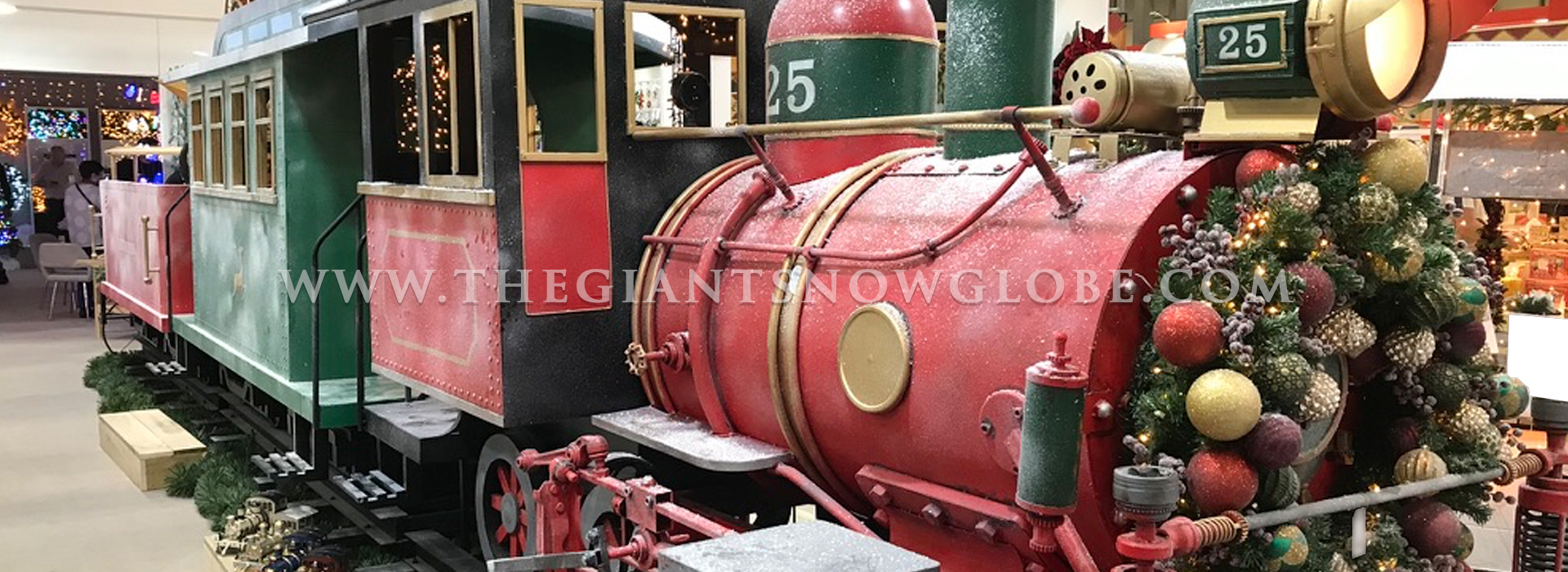 Platform 25 Display Train